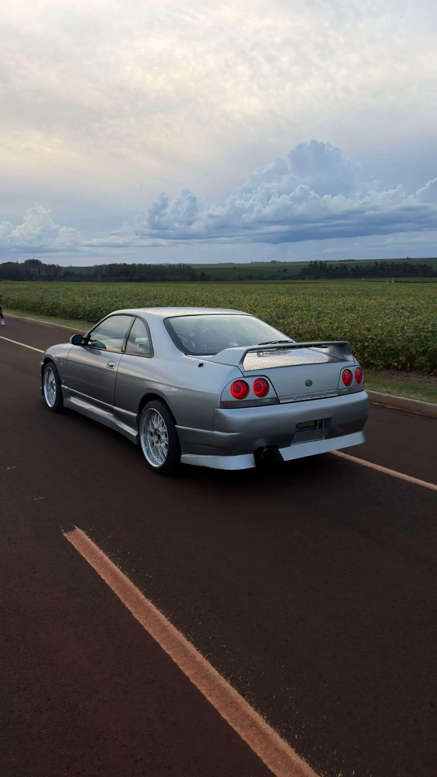 Nissan Skyline r33 GTST, miniatura 7