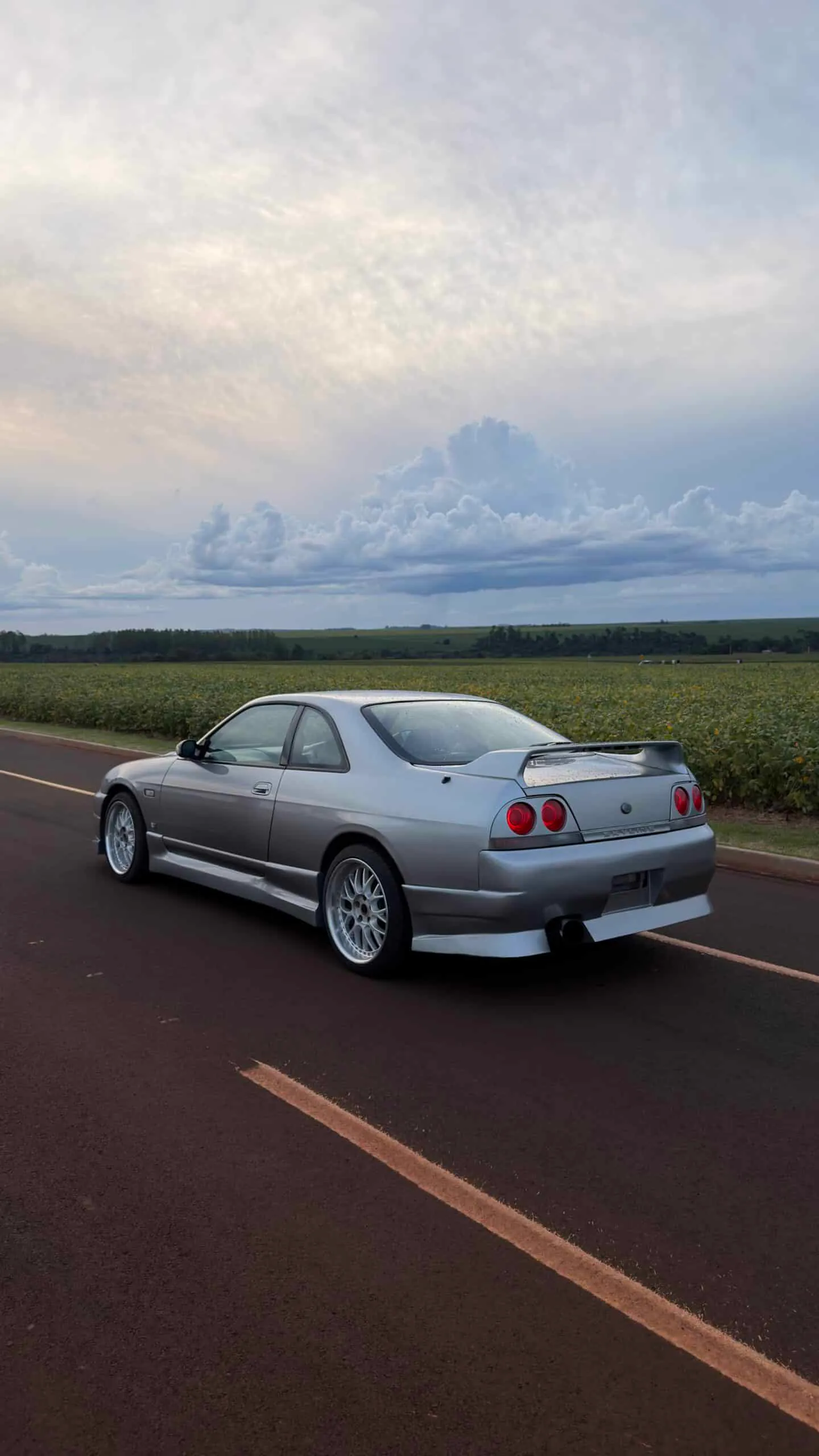 Nissan Skyline r33 GTST, miniatura 9