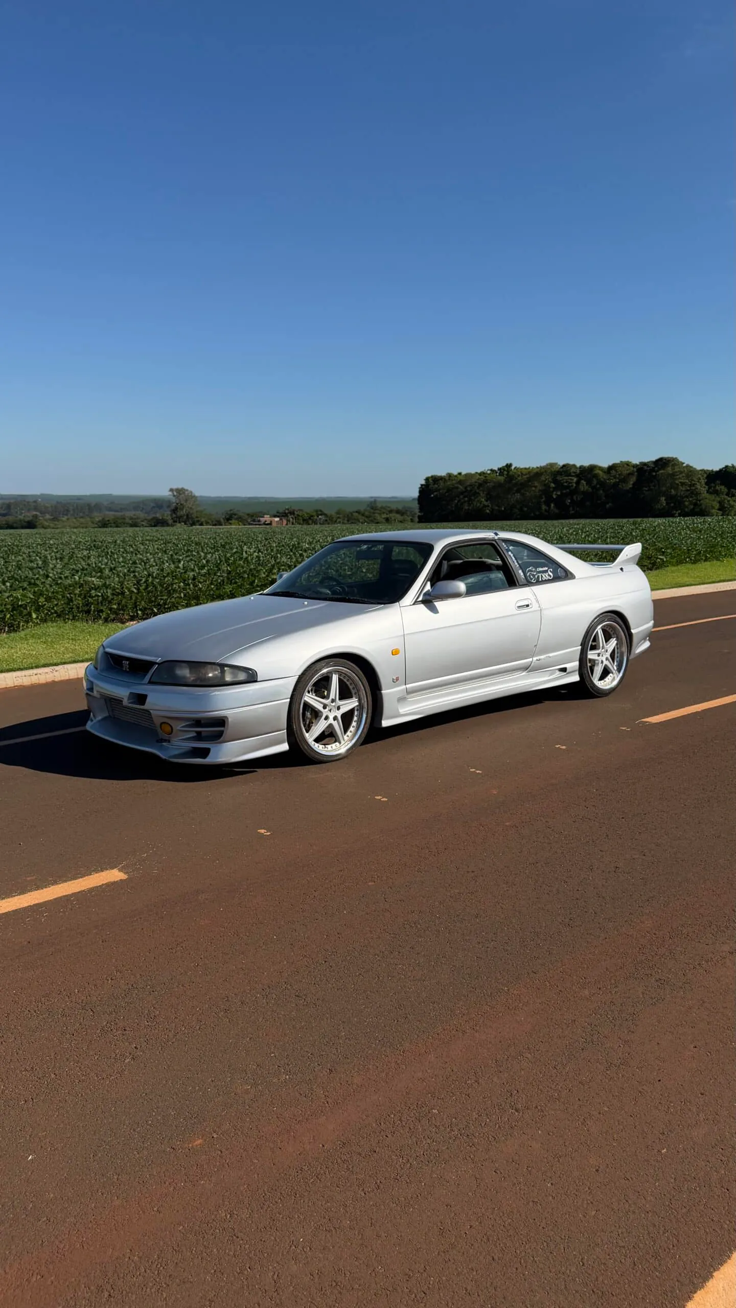 Nissan Skyline GTR R33, miniatura 2
