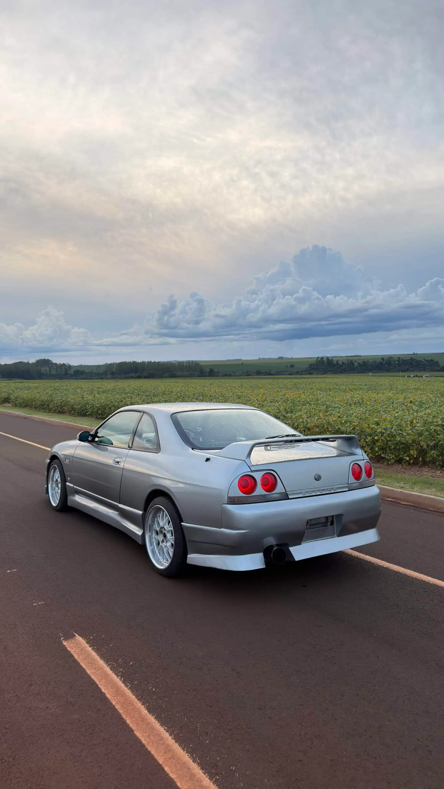 Nissan Skyline r33 GTST, miniatura 8