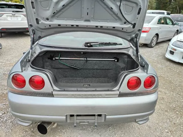 Nissan Skyline GTR R33, miniatura 22